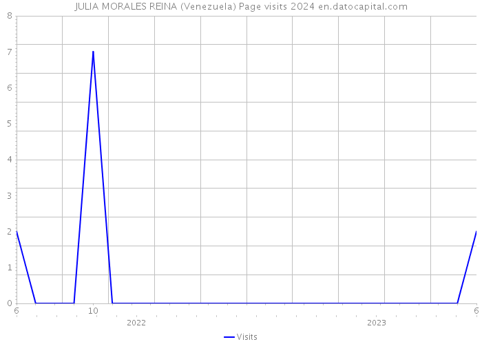 JULIA MORALES REINA (Venezuela) Page visits 2024 