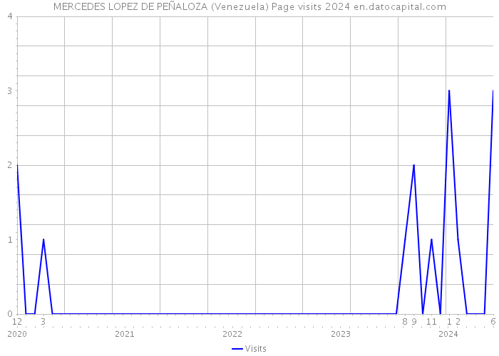 MERCEDES LOPEZ DE PEÑALOZA (Venezuela) Page visits 2024 