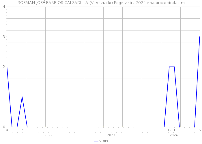 ROSMAN JOSÉ BARRIOS CALZADILLA (Venezuela) Page visits 2024 