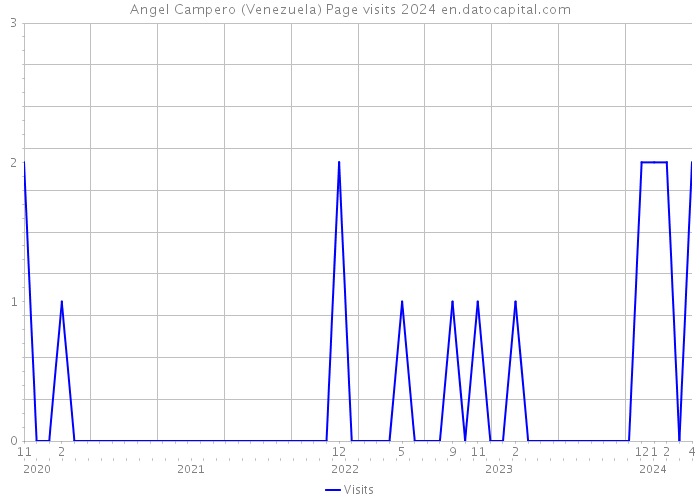 Angel Campero (Venezuela) Page visits 2024 