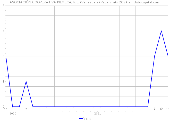 ASOCIACIÓN COOPERATIVA PILMECA, R.L. (Venezuela) Page visits 2024 