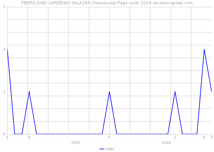 PEDRO JOSE CARDENAS SALAZAR (Venezuela) Page visits 2024 