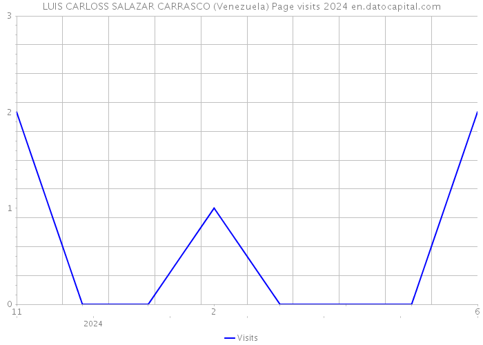 LUIS CARLOSS SALAZAR CARRASCO (Venezuela) Page visits 2024 