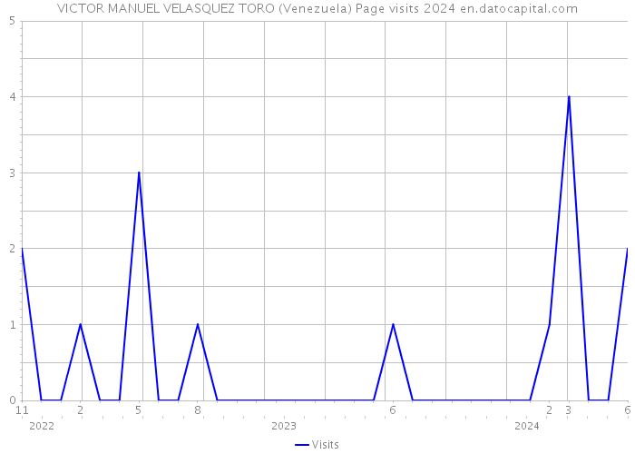 VICTOR MANUEL VELASQUEZ TORO (Venezuela) Page visits 2024 