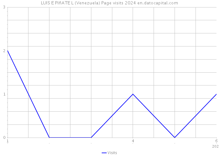 LUIS E PIñATE L (Venezuela) Page visits 2024 