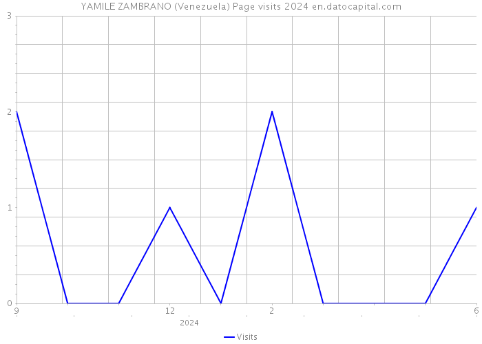 YAMILE ZAMBRANO (Venezuela) Page visits 2024 