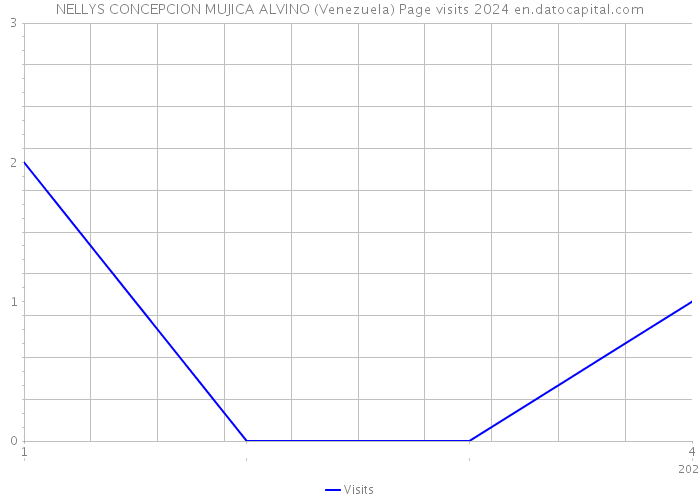 NELLYS CONCEPCION MUJICA ALVINO (Venezuela) Page visits 2024 