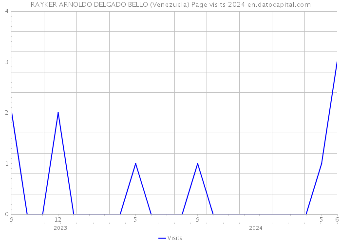RAYKER ARNOLDO DELGADO BELLO (Venezuela) Page visits 2024 