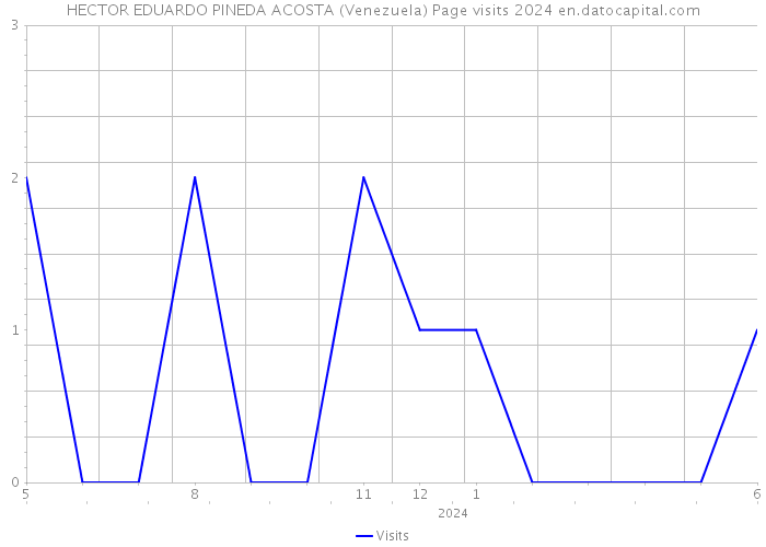 HECTOR EDUARDO PINEDA ACOSTA (Venezuela) Page visits 2024 