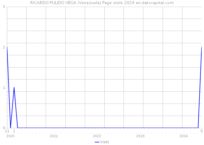 RICARDO PULIDO VEGA (Venezuela) Page visits 2024 