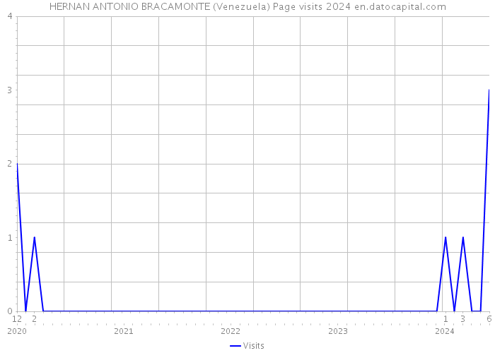 HERNAN ANTONIO BRACAMONTE (Venezuela) Page visits 2024 