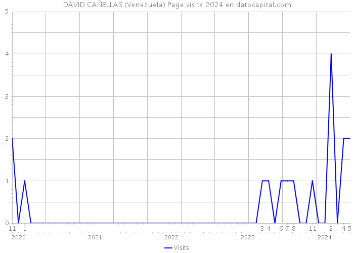 DAVID CAÑELLAS (Venezuela) Page visits 2024 