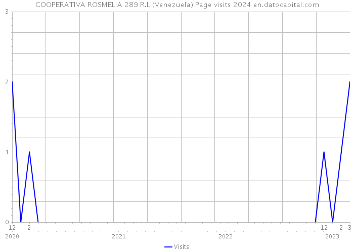 COOPERATIVA ROSMELIA 289 R.L (Venezuela) Page visits 2024 