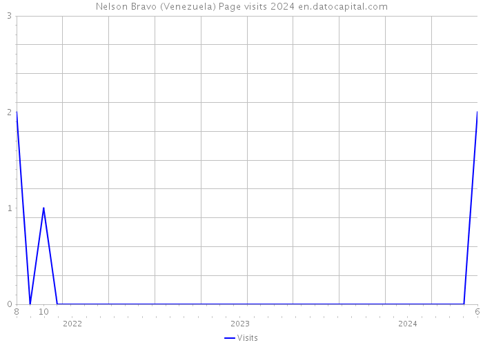 Nelson Bravo (Venezuela) Page visits 2024 