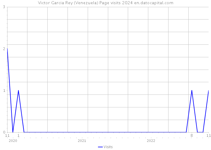 Victor Garcia Rey (Venezuela) Page visits 2024 