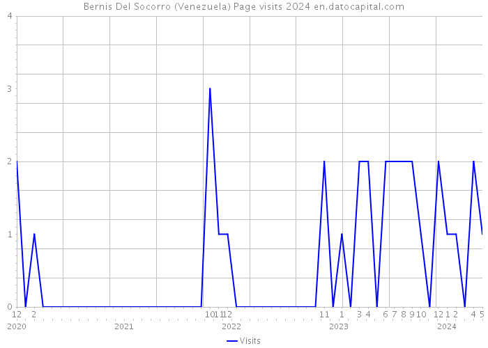 Bernis Del Socorro (Venezuela) Page visits 2024 