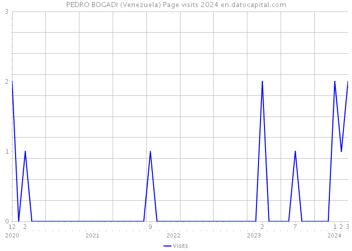 PEDRO BOGADI (Venezuela) Page visits 2024 