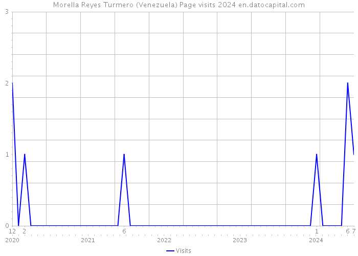 Morella Reyes Turmero (Venezuela) Page visits 2024 