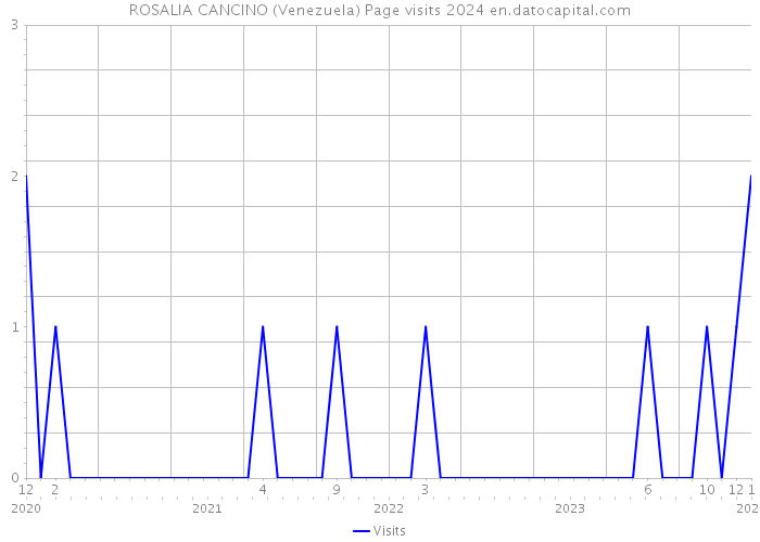 ROSALIA CANCINO (Venezuela) Page visits 2024 