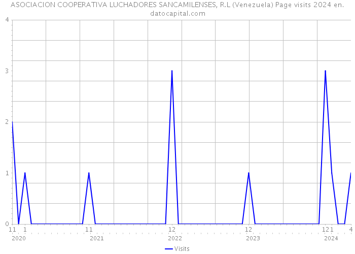 ASOCIACION COOPERATIVA LUCHADORES SANCAMILENSES, R.L (Venezuela) Page visits 2024 