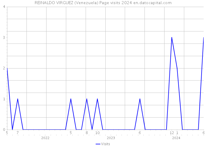 REINALDO VIRGUEZ (Venezuela) Page visits 2024 