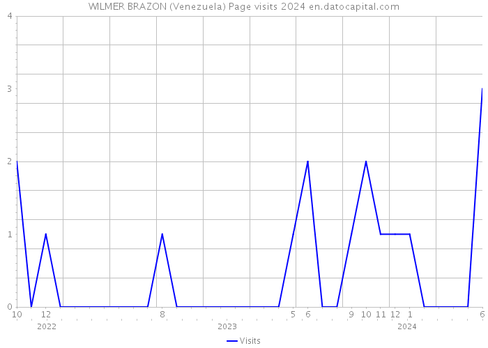 WILMER BRAZON (Venezuela) Page visits 2024 