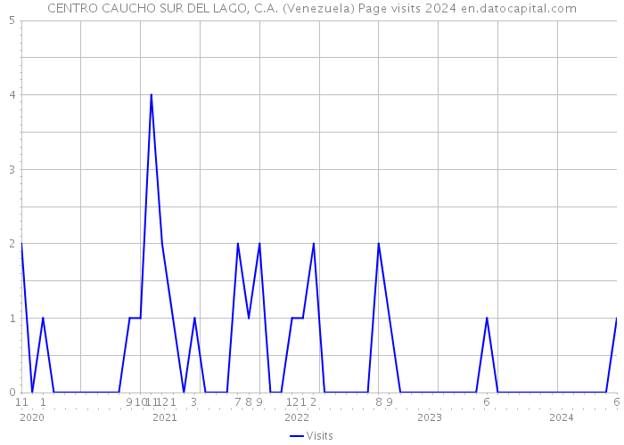 CENTRO CAUCHO SUR DEL LAGO, C.A. (Venezuela) Page visits 2024 