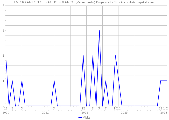 EMIGIO ANTONIO BRACHO POLANCO (Venezuela) Page visits 2024 