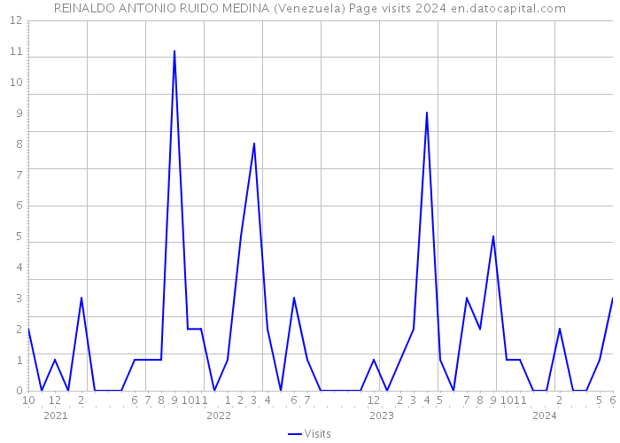 REINALDO ANTONIO RUIDO MEDINA (Venezuela) Page visits 2024 