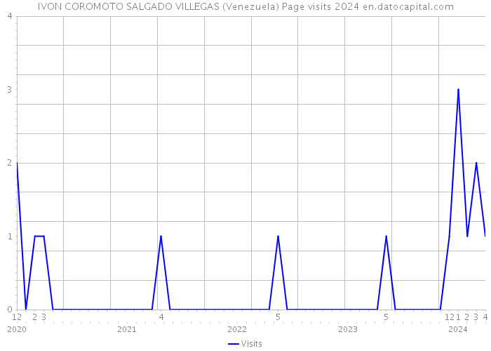 IVON COROMOTO SALGADO VILLEGAS (Venezuela) Page visits 2024 