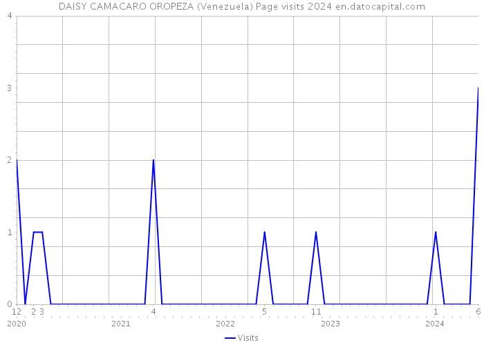 DAISY CAMACARO OROPEZA (Venezuela) Page visits 2024 