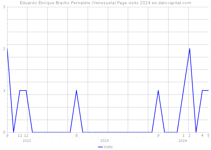 Eduardo Enrique Bracho Pernalete (Venezuela) Page visits 2024 