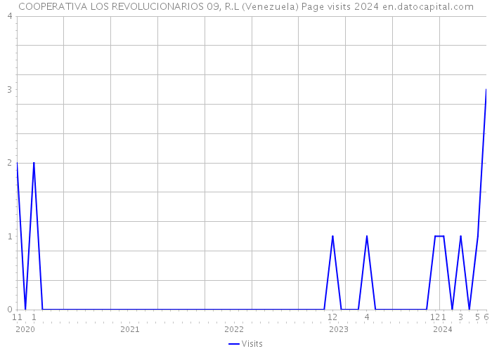 COOPERATIVA LOS REVOLUCIONARIOS 09, R.L (Venezuela) Page visits 2024 