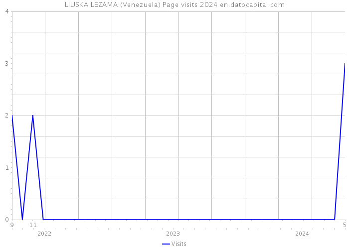 LIUSKA LEZAMA (Venezuela) Page visits 2024 