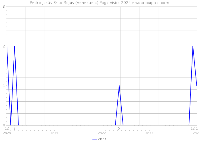 Pedro Jesús Brito Rojas (Venezuela) Page visits 2024 