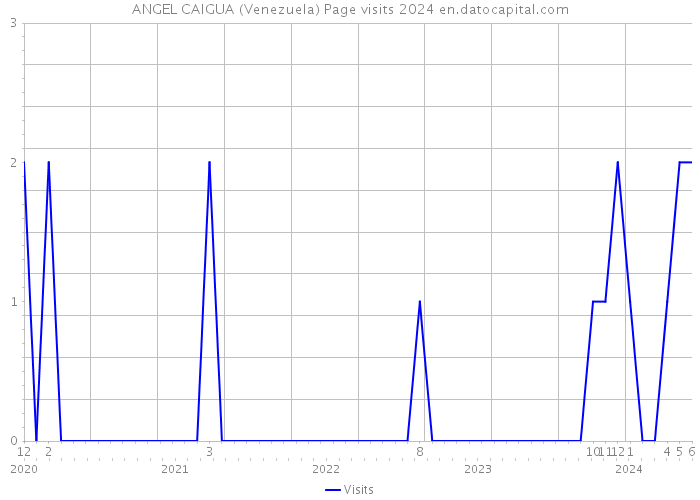 ANGEL CAIGUA (Venezuela) Page visits 2024 