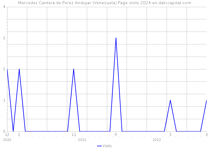 Mercedes Cantera de Perez Andujar (Venezuela) Page visits 2024 