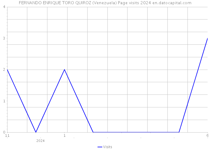 FERNANDO ENRIQUE TORO QUIROZ (Venezuela) Page visits 2024 