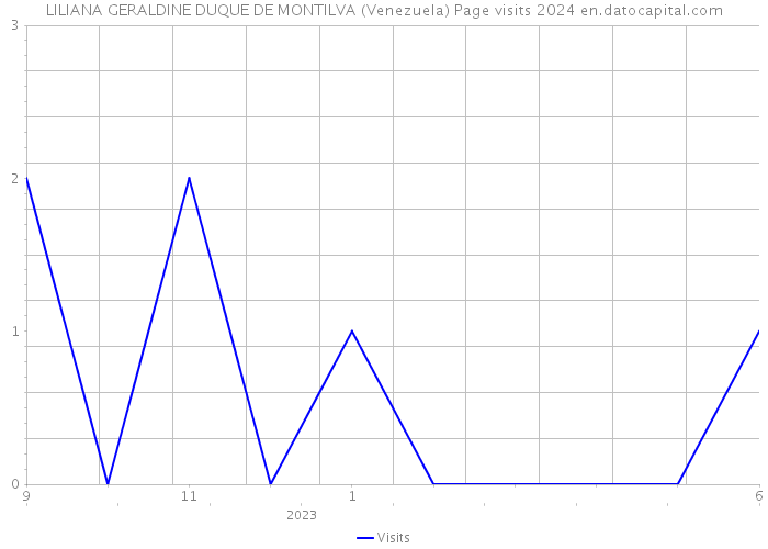 LILIANA GERALDINE DUQUE DE MONTILVA (Venezuela) Page visits 2024 