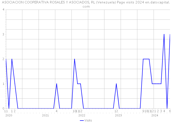 ASOCIACION COOPERATIVA ROSALES Y ASOCIADOS, RL (Venezuela) Page visits 2024 