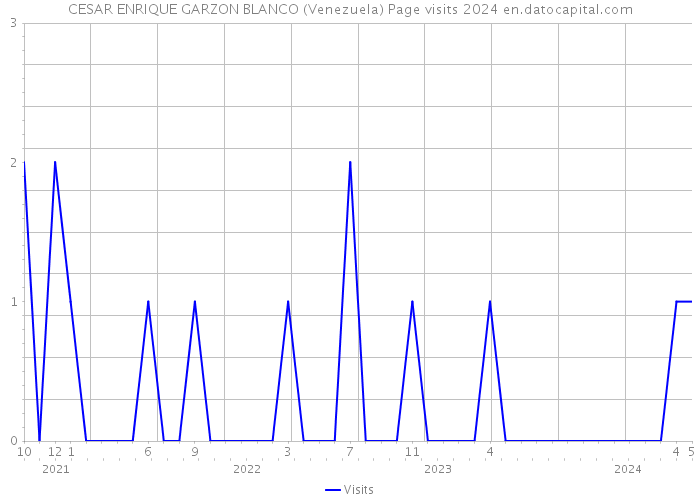 CESAR ENRIQUE GARZON BLANCO (Venezuela) Page visits 2024 