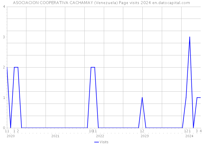 ASOCIACION COOPERATIVA CACHAMAY (Venezuela) Page visits 2024 