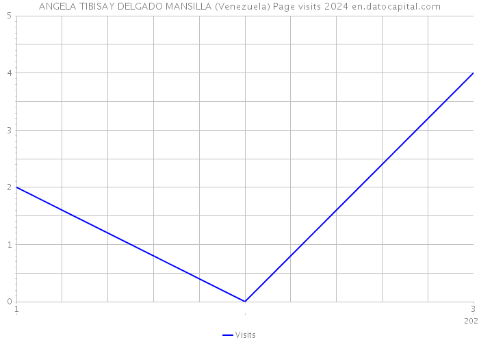 ANGELA TIBISAY DELGADO MANSILLA (Venezuela) Page visits 2024 