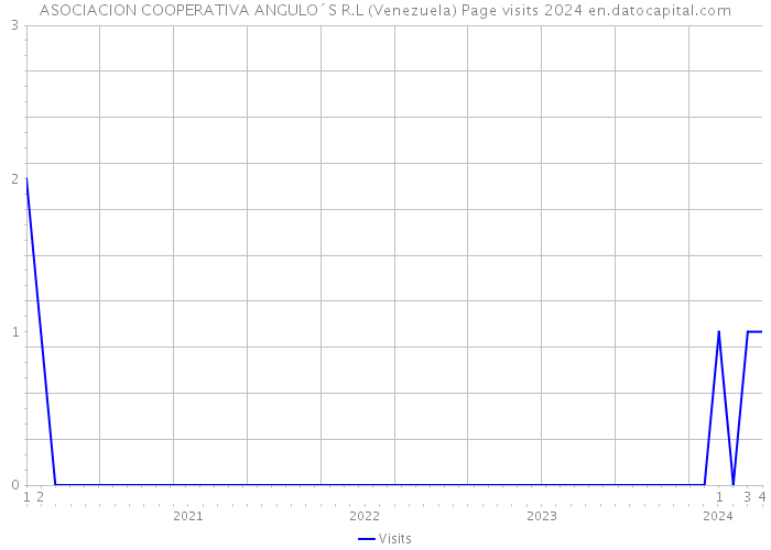 ASOCIACION COOPERATIVA ANGULO´S R.L (Venezuela) Page visits 2024 
