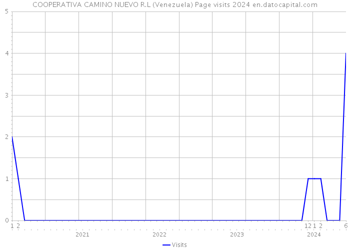 COOPERATIVA CAMINO NUEVO R.L (Venezuela) Page visits 2024 
