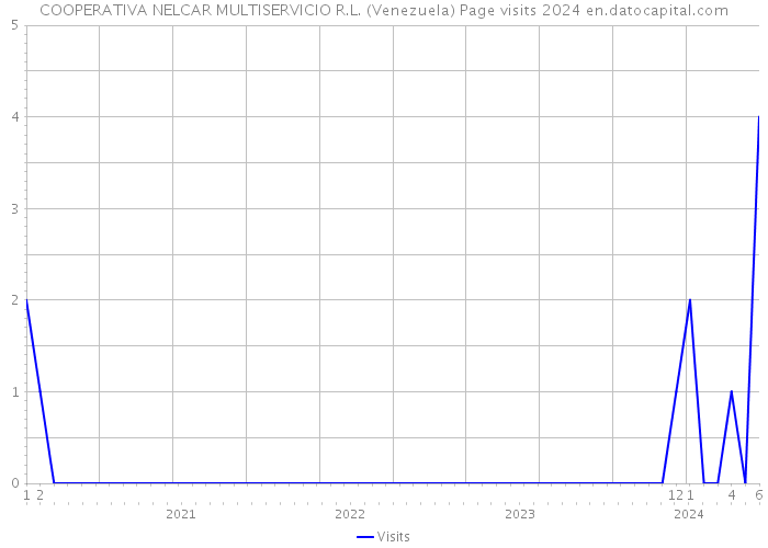 COOPERATIVA NELCAR MULTISERVICIO R.L. (Venezuela) Page visits 2024 