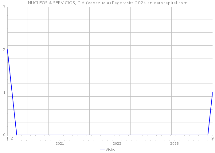 NUCLEOS & SERVICIOS, C.A (Venezuela) Page visits 2024 