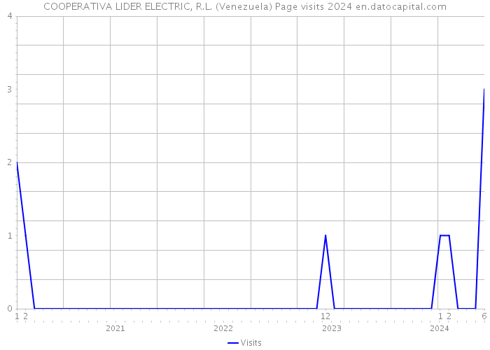 COOPERATIVA LIDER ELECTRIC, R.L. (Venezuela) Page visits 2024 