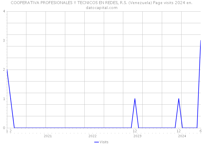 COOPERATIVA PROFESIONALES Y TECNICOS EN REDES, R.S. (Venezuela) Page visits 2024 