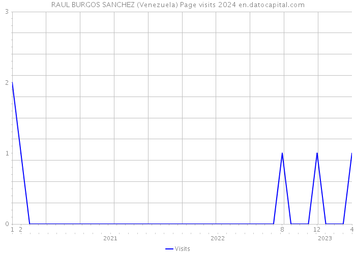 RAUL BURGOS SANCHEZ (Venezuela) Page visits 2024 